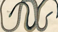 An illustration from (Band 8) (1813)