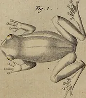 Picture 42 of 144 from (Band 8) (1813), leaf 75