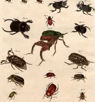 An illustration from (Band 9) (1816)
