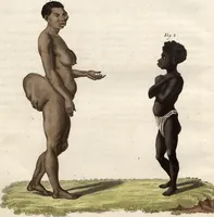 An illustration from (Band 9) (1816)