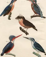 An illustration from (Band 9) (1816)