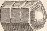 An illustration from (Band 9) (1816)