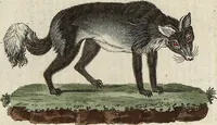 An illustration from (Band 9) (1816)