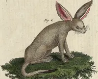 An illustration from (Band 9) (1816)