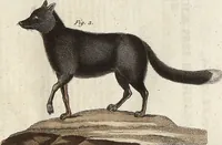 An illustration from (Band 9) (1816)