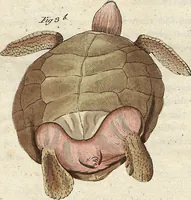 An illustration from (Band 9) (1816)