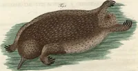 An illustration from (Band 9) (1816)