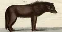 An illustration from (Band 9) (1816)
