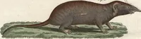 An illustration from (Band 9) (1816)