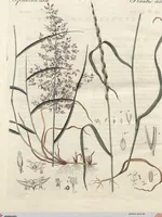 An illustration from (Band 9) (1816)