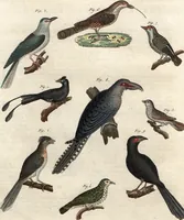 An illustration from (Band 9) (1816)