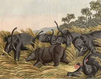 An illustration from (Band 9) (1816)