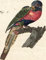 An illustration from (Band 9) (1816)
