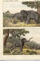 An illustration from (Band 9) (1816)