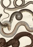 An illustration from (Band 9) (1816)