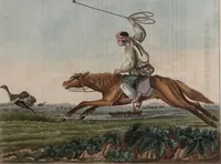 An illustration from (Band 10) (1821)