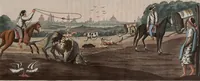 An illustration from (Band 10) (1821)