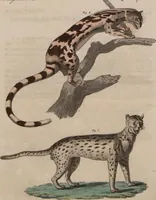An illustration from (Band 10) (1821)