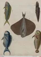An illustration from (Band 10) (1821)