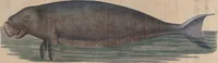 An illustration from (Band 10) (1821)