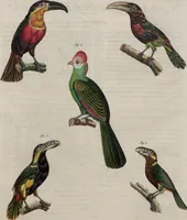 An illustration from (Band 10) (1821)