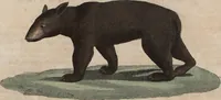An illustration from (Band 10) (1821)