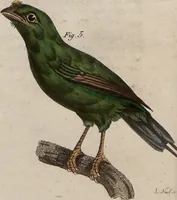 An illustration from (Band 10) (1821)
