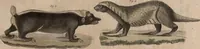 An illustration from (Band 10) (1821)
