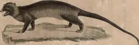 An illustration from (Band 10) (1821)