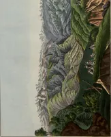 An illustration from (Band 10) (1821)