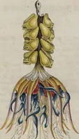 Picture 94 of 139 from (Band 10) (1821), leaf 205
