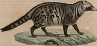 An illustration from (Band 10) (1821)