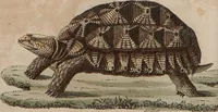 Picture 107 of 139 from (Band 10) (1821), leaf 229