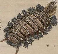 Picture 112 of 139 from (Band 10) (1821), leaf 235