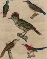 An illustration from (Band 10) (1821)