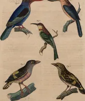 An illustration from (Band 10) (1821)