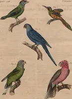 An illustration from (Band 10) (1821)
