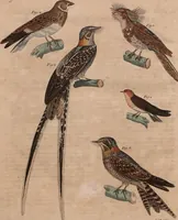 An illustration from (Band 10) (1821)