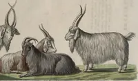 An illustration from (Band 10) (1821)