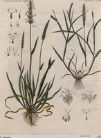 Picture 23 of 139 from (Band 10) (1821), leaf 54