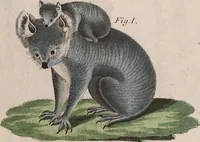 An illustration from (Band 10) (1821)
