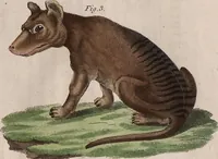 An illustration from (Band 10) (1821)
