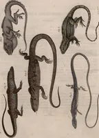 An illustration from (Band 10) (1821)