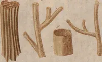 An illustration from (Band 10) (1821)