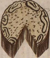 Picture 33 of 139 from (Band 10) (1821), leaf 69