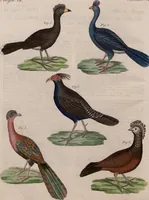An illustration from (Band 10) (1821)