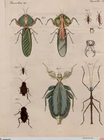 An illustration from (Band 10) (1821)
