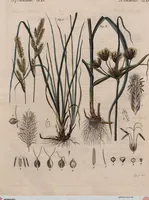 Picture 38 of 139 from (Band 10) (1821), leaf 84
