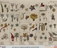 An illustration from (Band 10) (1821)