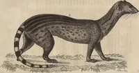 Picture 7 of 155 from (Band 11) (1824), leaf 18